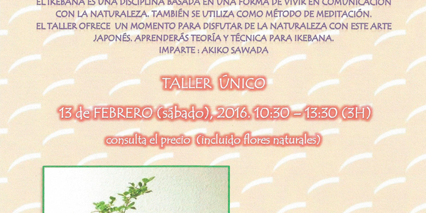 Taller Ikebana Valladolid
