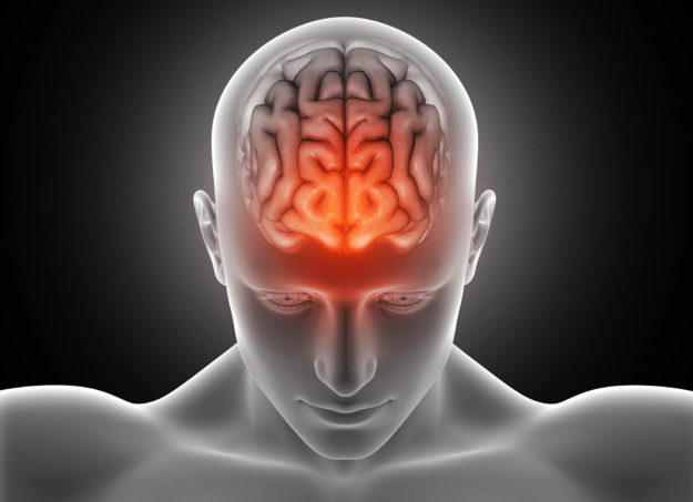 doctor hamer, medicina germanica, valladolid, liashi, centro de masaje, reiki, dr hamer, hamer